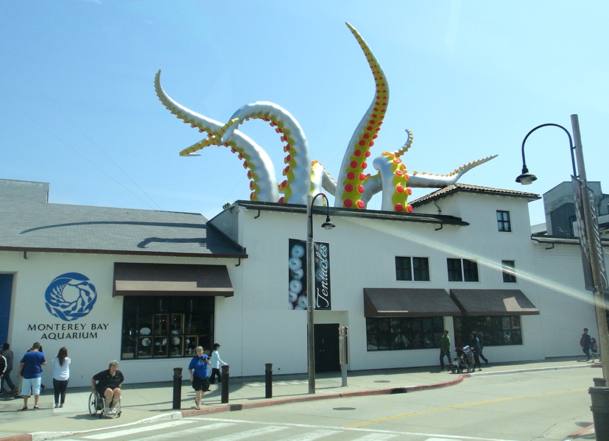 The Monterey Bay Aquarium being attacked by giant tentacles!