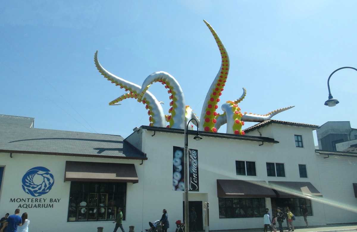 The Monterey Bay Aquarium STILL being attacked by giant tentacles!